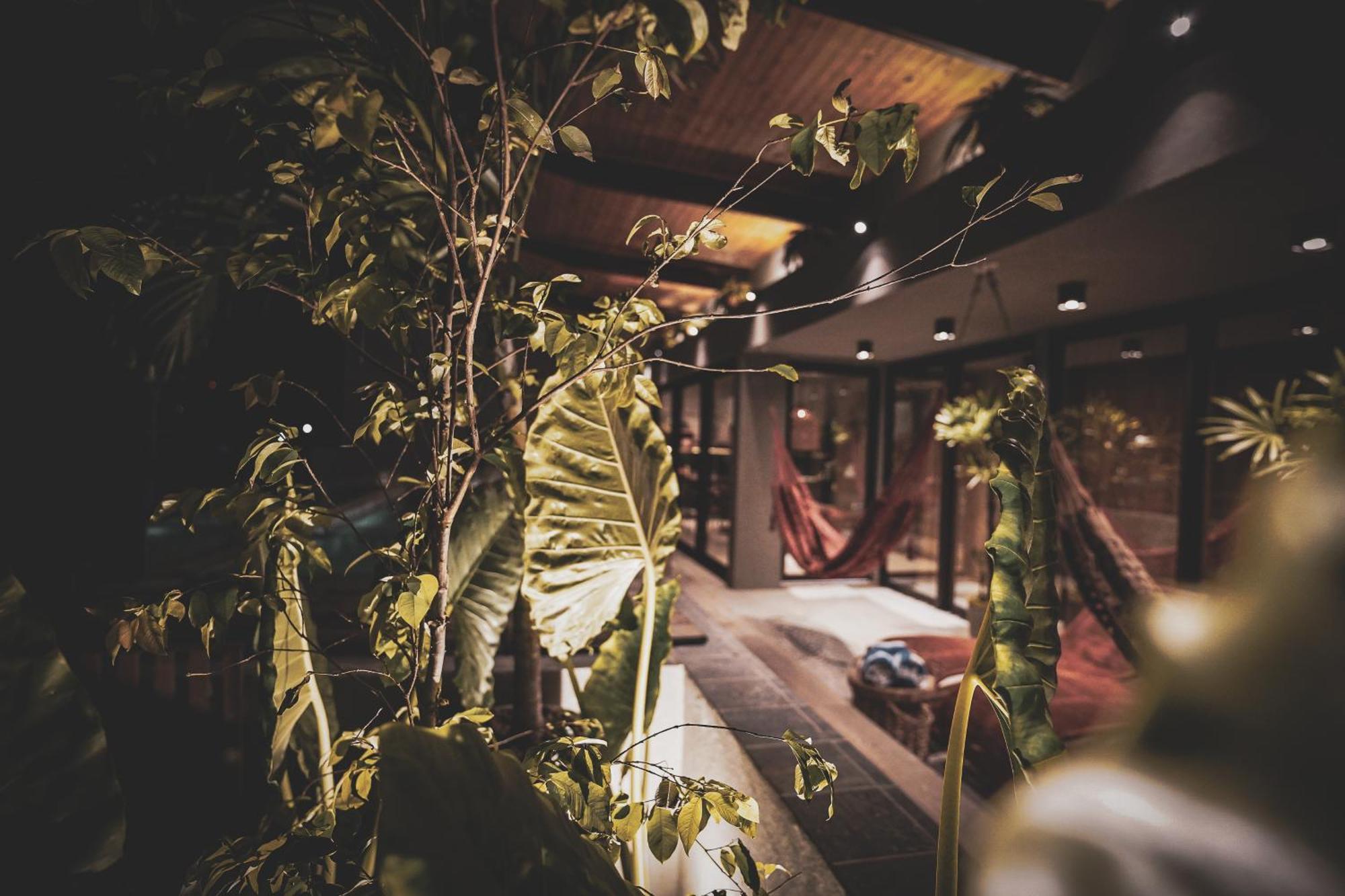 Cobertura Milagres Apartment เซามิเกลโดสมีลาเกรส ภายนอก รูปภาพ